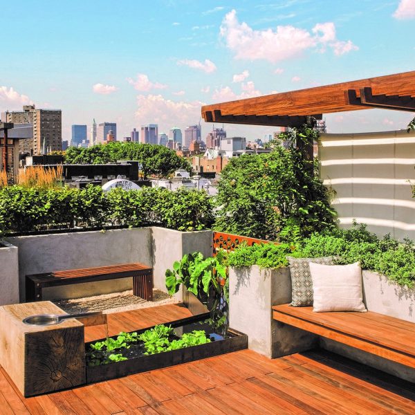 طراحی روف گاردن / ایجاد باغ در پشت بام خانه / مجری بام سبز / فضای سبز در پشت بام / رپورتاژ آگهی دنیز وود